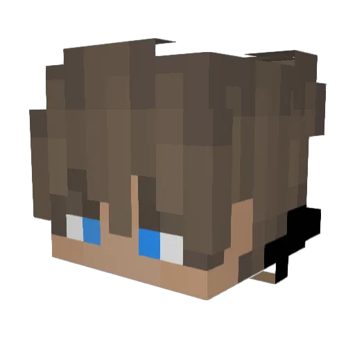kardin07 Minecraft avatar head, 3D render