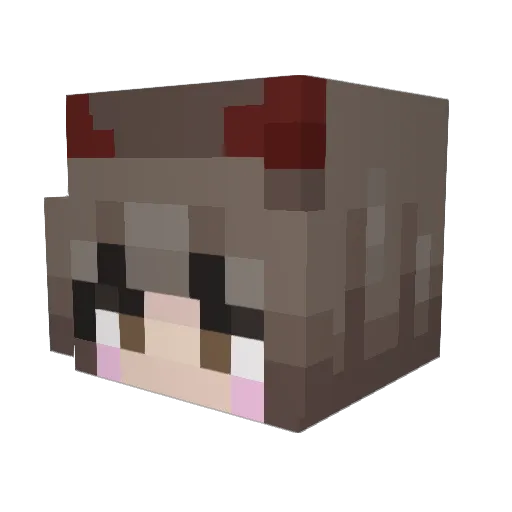 karengnarly Minecraft avatar head, 3D render