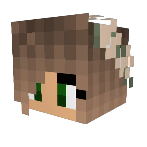 karenna1ann Minecraft avatar head, 3D render