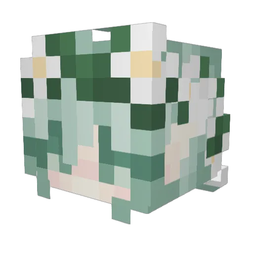 karensit4 Minecraft avatar head, 3D render