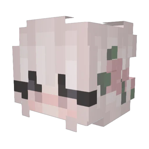 kari229 Minecraft avatar head, 3D render