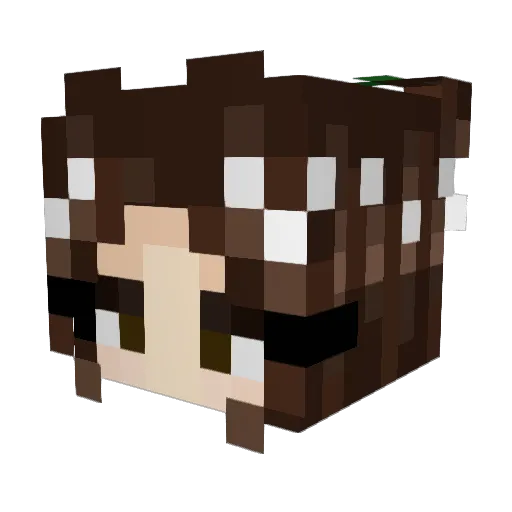 karigoon Minecraft avatar head, 3D render
