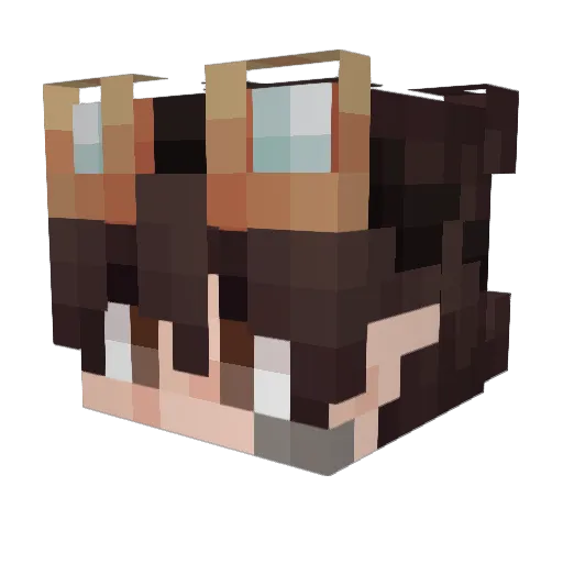 karioss Minecraft avatar head, 3D render