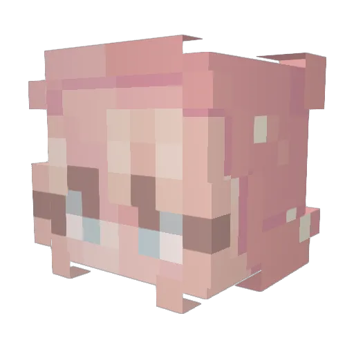 kariscool Minecraft avatar head, 3D render