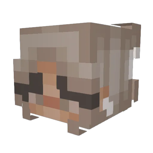 karissaismybaka Minecraft avatar head, 3D render