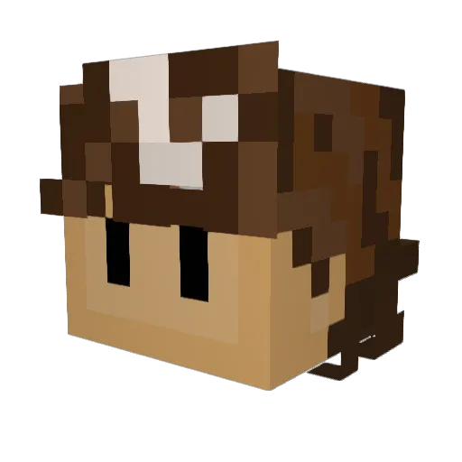 karlfrog Minecraft avatar head, 3D render