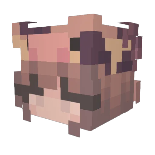 karlindsay Minecraft avatar head, 3D render