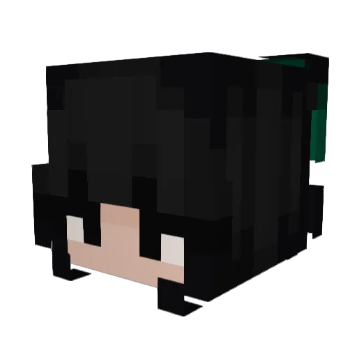karlito145 Minecraft avatar head, 3D render