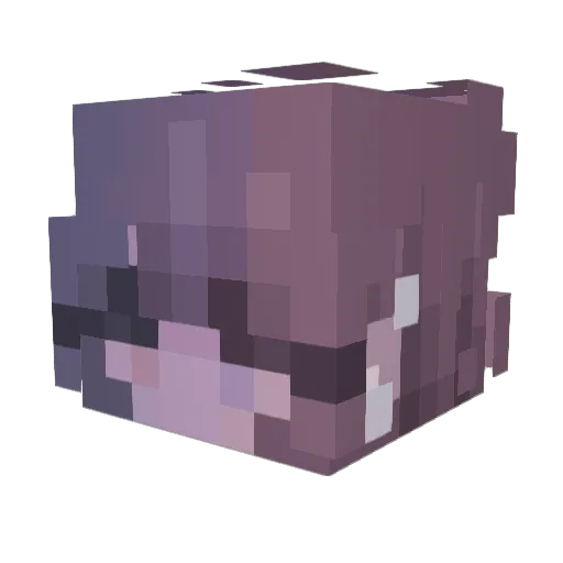 karmatic1318 Minecraft avatar head, 3D render
