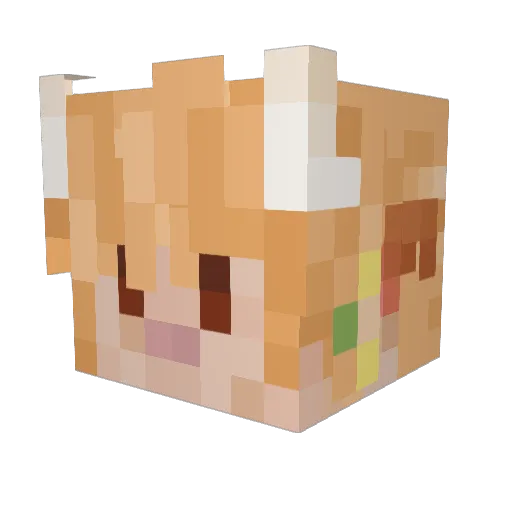 karmelito_ Minecraft avatar head, 3D render