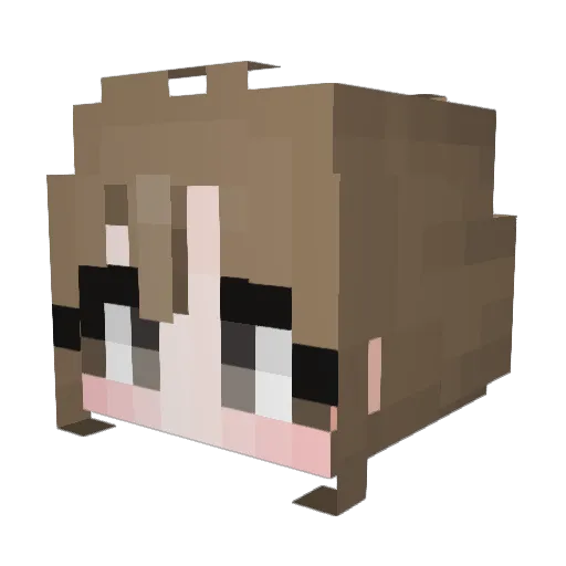 karn1203 Minecraft avatar head, 3D render
