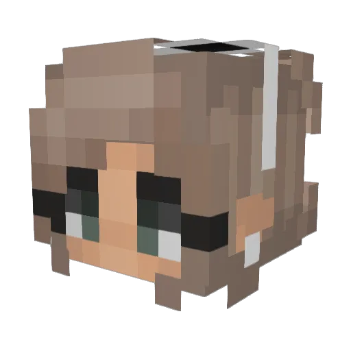 karol_17 Minecraft avatar head, 3D render