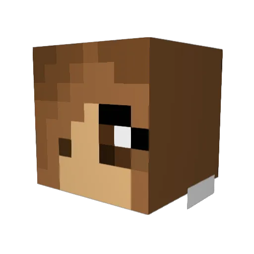 karoline49 Minecraft avatar head, 3D render