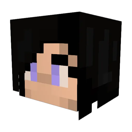 karolinschi1 Minecraft avatar head, 3D render
