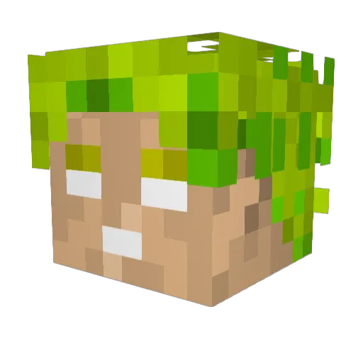 karoo_the_duck Minecraft avatar head, 3D render