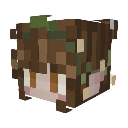 karottelotta Minecraft avatar head, 3D render