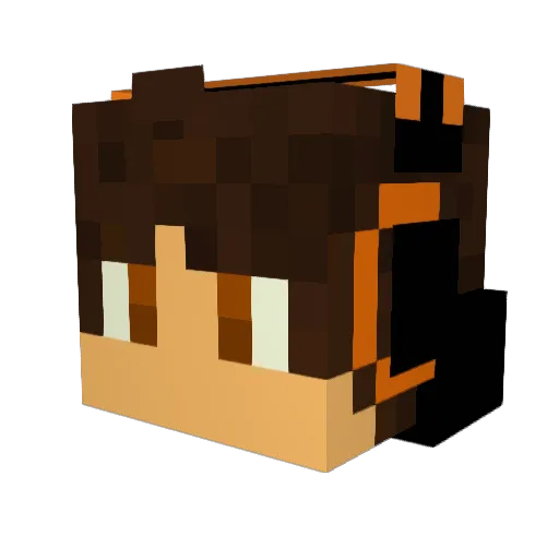 karpath556 Minecraft avatar head, 3D render