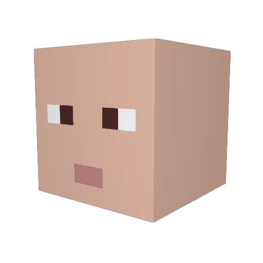 karpfen14 Minecraft avatar head, 3D render