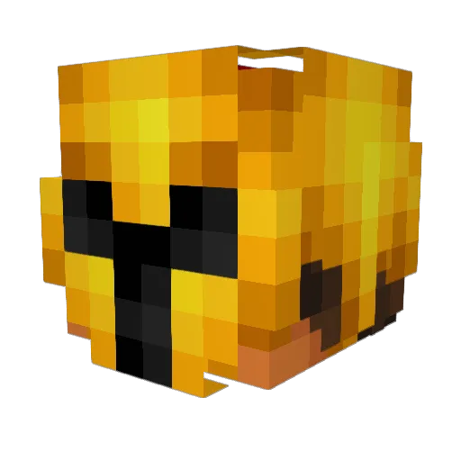 karpiu42888 Minecraft avatar head, 3D render
