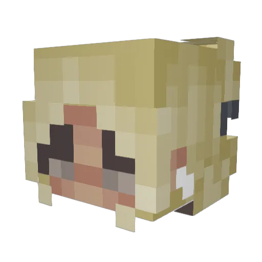 karriender Minecraft avatar head, 3D render