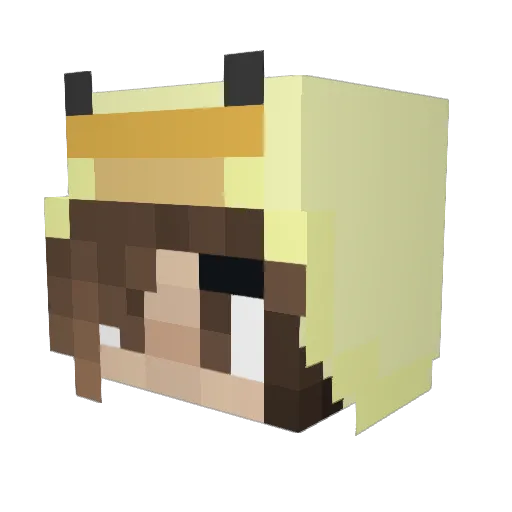 karrwala Minecraft avatar head, 3D render