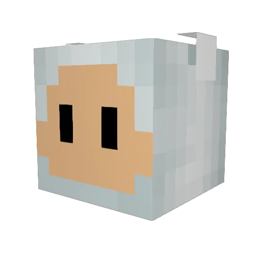 kartolives Minecraft avatar head, 3D render