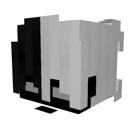 kasac Minecraft avatar head, 3D render