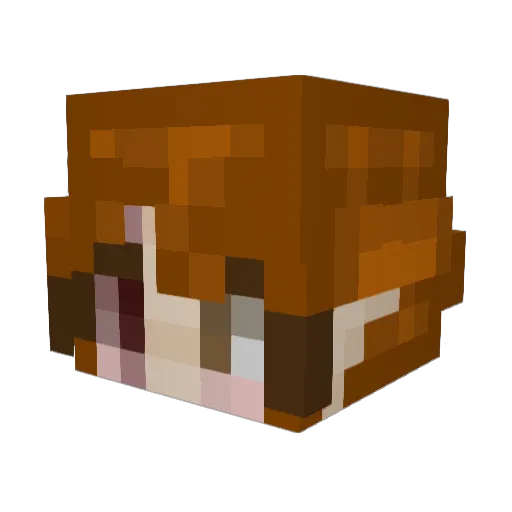 kasbees Minecraft avatar head, 3D render