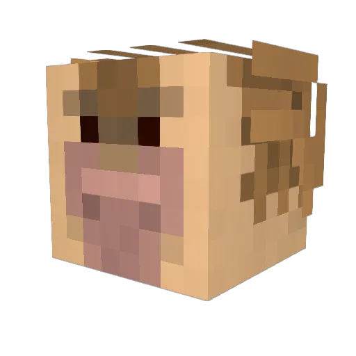 kasdo_ Minecraft avatar head, 3D render