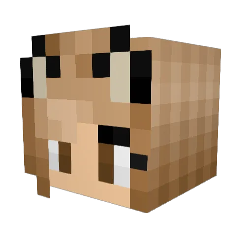 kaseycaro Minecraft avatar head, 3D render
