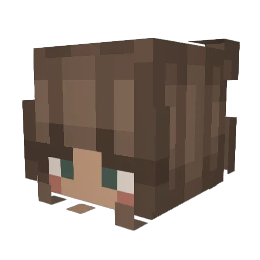 kashau Minecraft avatar head, 3D render