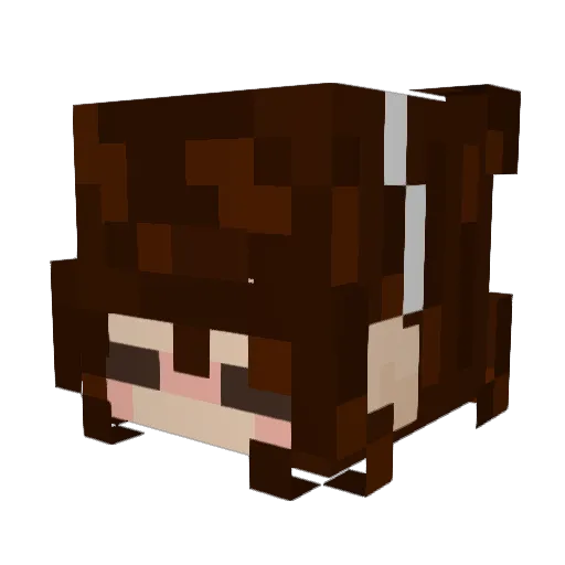 kashbro Minecraft avatar head, 3D render