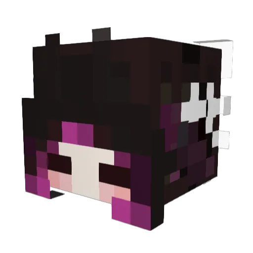 kashinnn Minecraft avatar head, 3D render