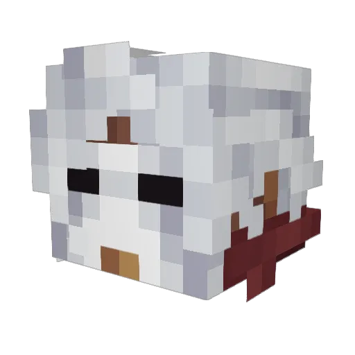 kashlord Minecraft avatar head, 3D render