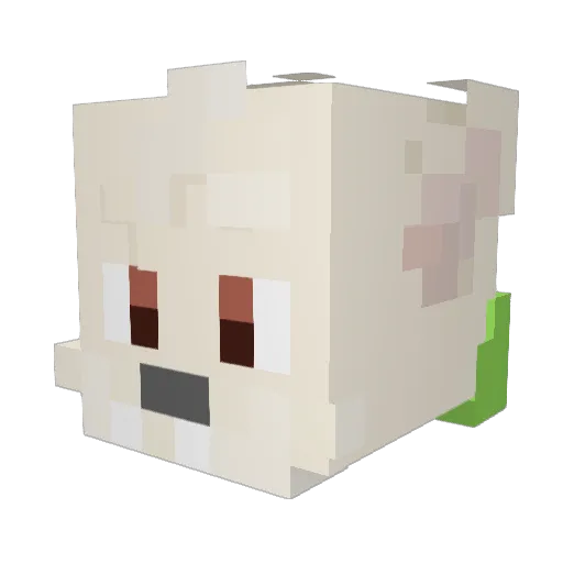 kashusb Minecraft avatar head, 3D render