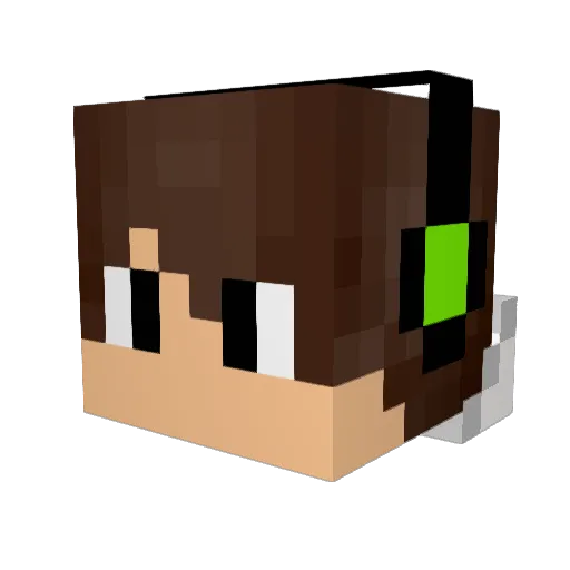 kasion1 Minecraft avatar head, 3D render