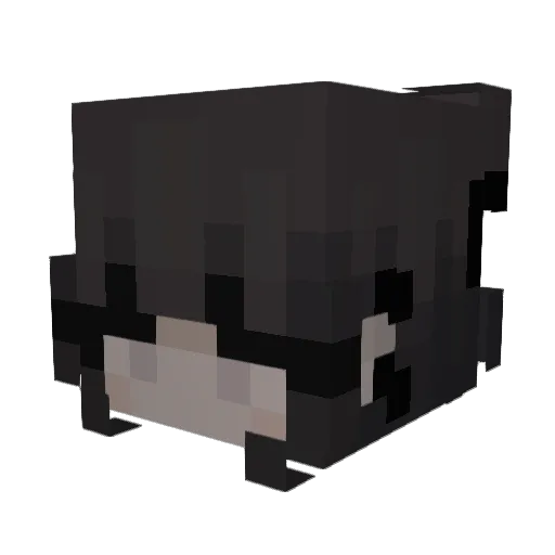 kasivvla Minecraft avatar head, 3D render