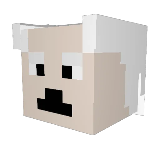 kaspian101 Minecraft avatar head, 3D render