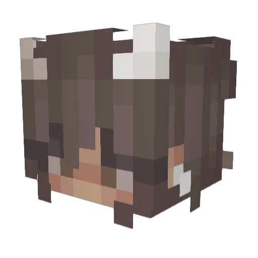 kassafrass42 Minecraft avatar head, 3D render