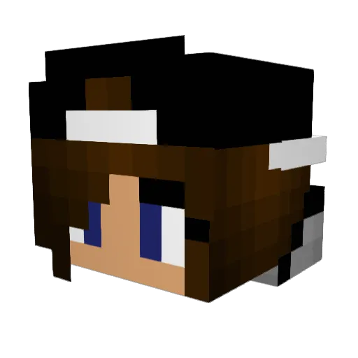 kassidybird123 Minecraft avatar head, 3D render