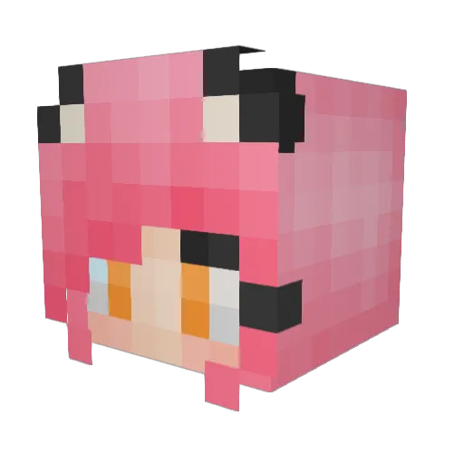 kassinavy Minecraft avatar head, 3D render