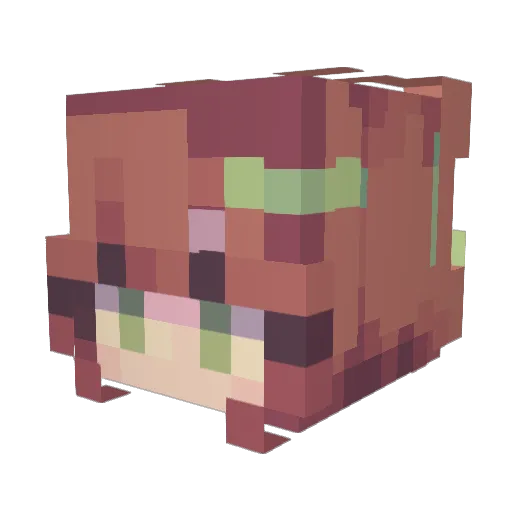 kassiscool Minecraft avatar head, 3D render