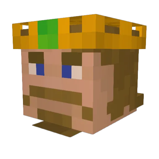 kastigszok Minecraft avatar head, 3D render