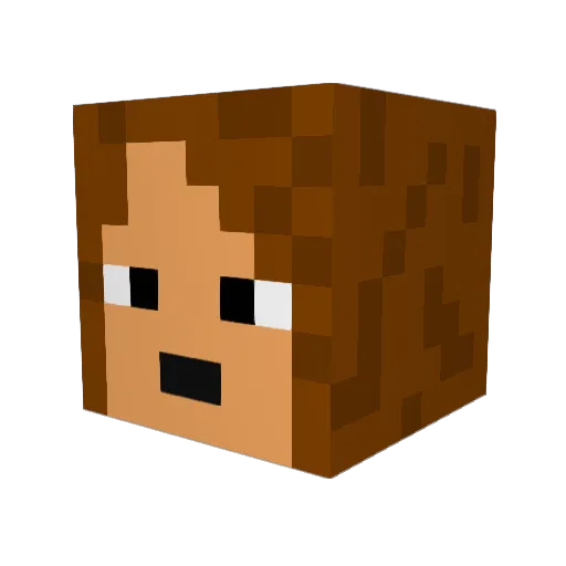 kastor897 Minecraft avatar head, 3D render
