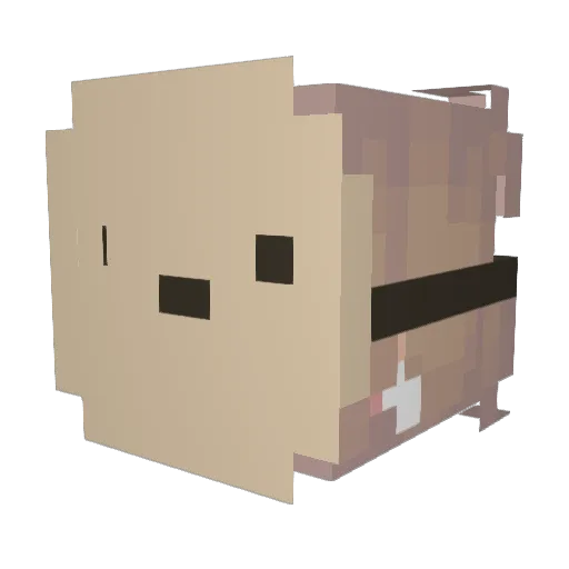 kat_is_a_cat Minecraft avatar head, 3D render