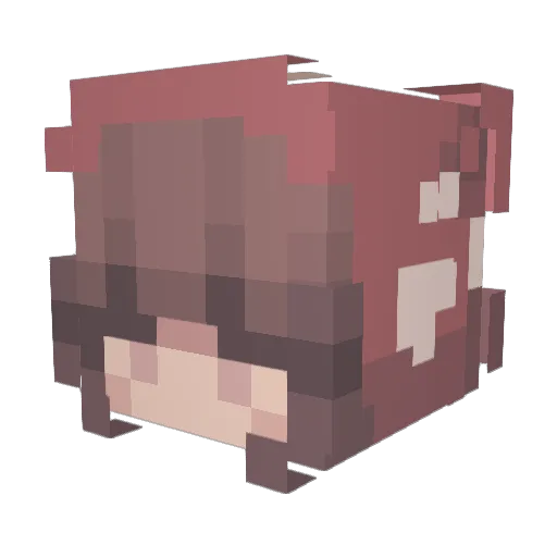 katanash Minecraft avatar head, 3D render