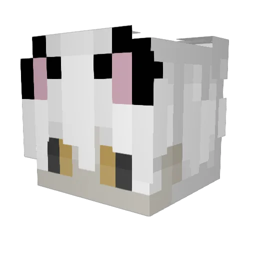 katapsixi Minecraft avatar head, 3D render