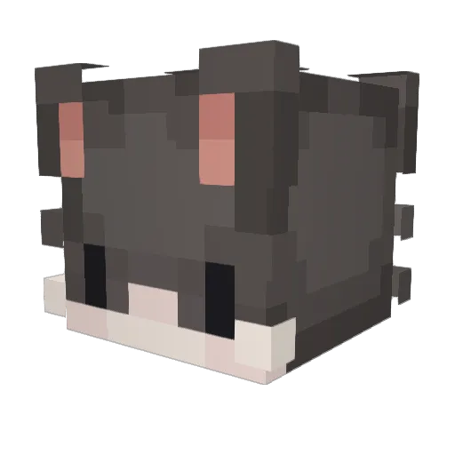 katara_meow Minecraft avatar head, 3D render