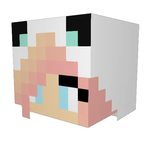 katarina012 Minecraft avatar head, 3D render