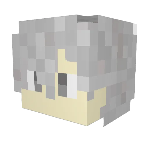 katatumuri12 Minecraft avatar head, 3D render